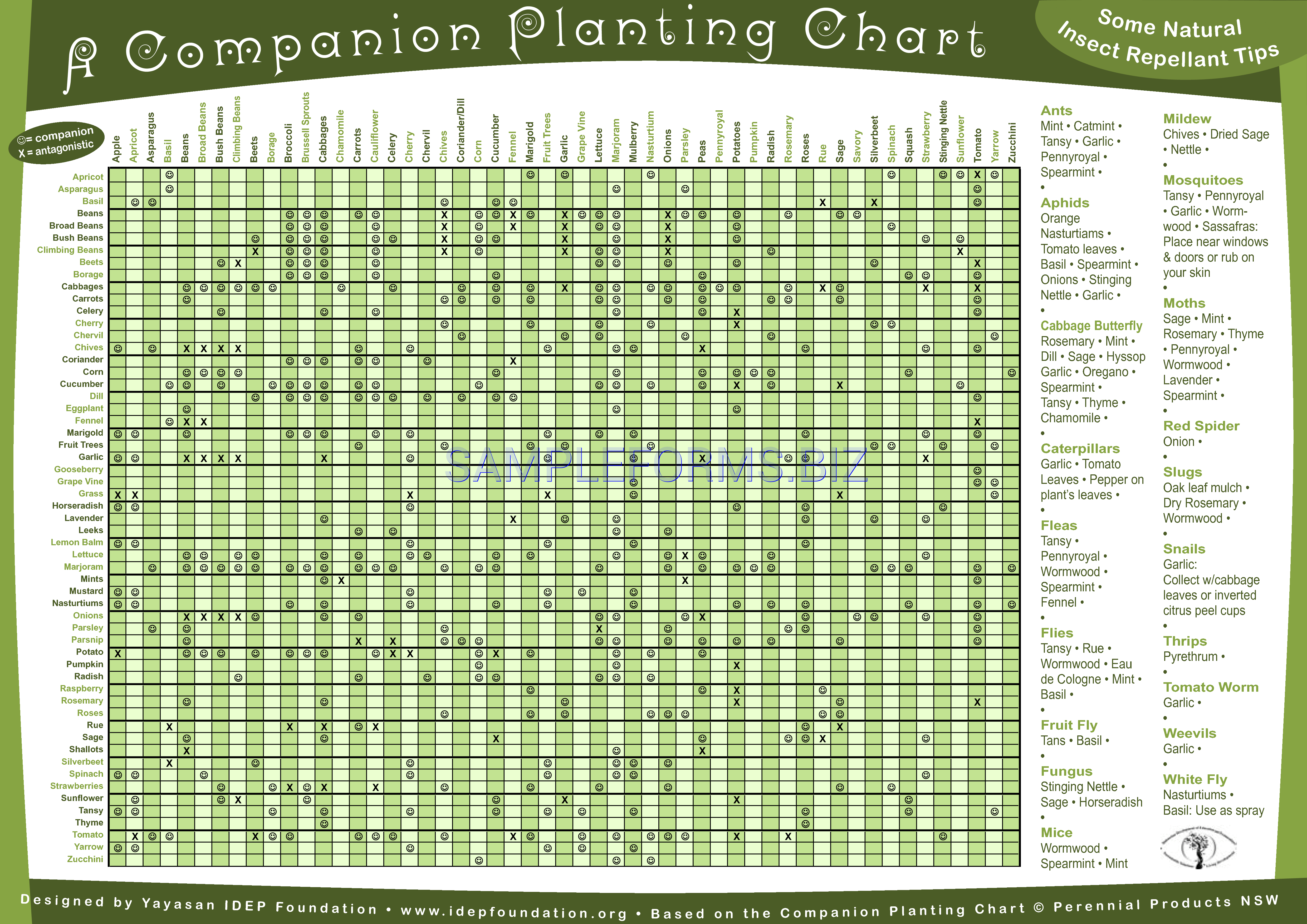 Preview free downloadable Companion Planting Chart 1 in PDF (page 1)